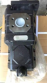 پمپ دنده ای SEM ZL60G